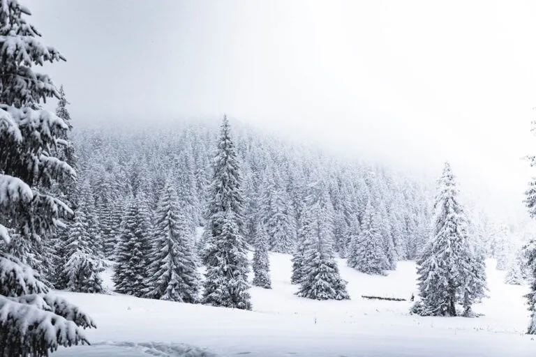 How to Live in an RV in the Winter